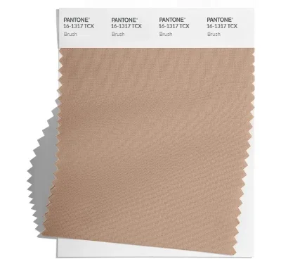 PANTONE 16-1317.png